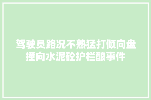 驾驶员路况不熟猛打倾向盘撞向水泥砼护栏酿事件 汽车知识