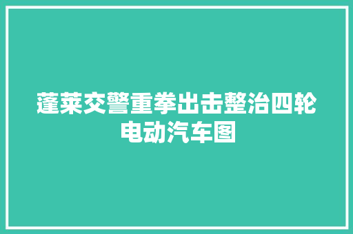 蓬莱交警重拳出击整治四轮电动汽车图