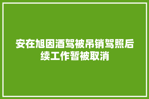 安在旭因酒驾被吊销驾照后续工作暂被取消
