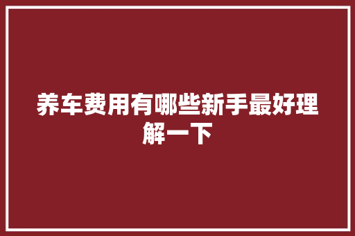 养车费用有哪些新手最好理解一下