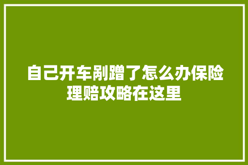 自己开车剐蹭了怎么办保险理赔攻略在这里