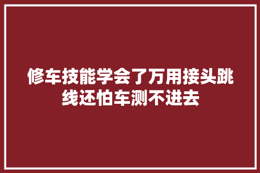 修车技能学会了万用接头跳线还怕车测不进去