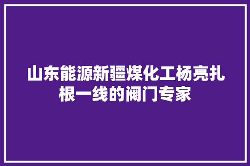 山东能源新疆煤化工杨亮扎根一线的阀门专家