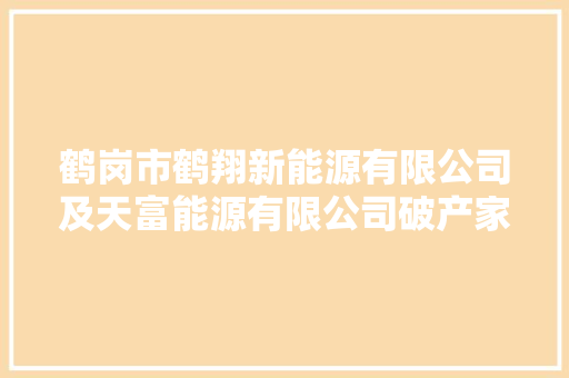 鹤岗市鹤翔新能源有限公司及天富能源有限公司破产家当拍卖通知书记