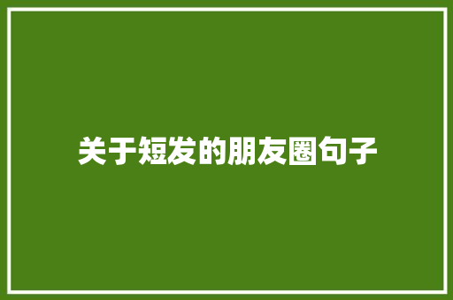 关于短发的朋友圈句子