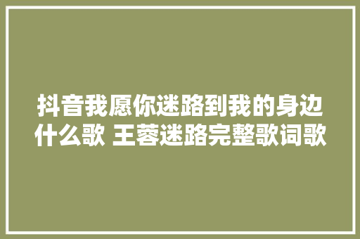 抖音我愿你迷路到我的身边什么歌 王蓉迷路完整歌词歌曲介绍