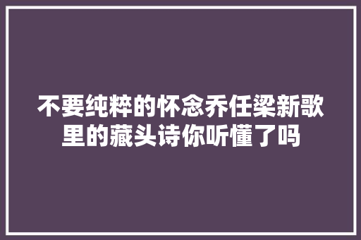 不要纯粹的怀念乔任梁新歌里的藏头诗你听懂了吗