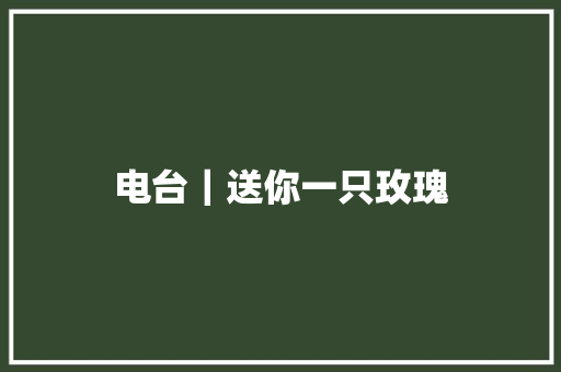 电台｜送你一只玫瑰 休闲娱乐