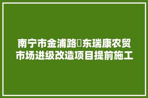 南宁市金浦路埌东瑞康农贸市场进级改造项目提前施工影响摊位经商