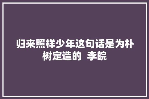 归来照样少年这句话是为朴树定造的  李皖