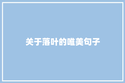 关于落叶的唯美句子