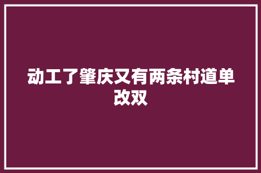 动工了肇庆又有两条村道单改双