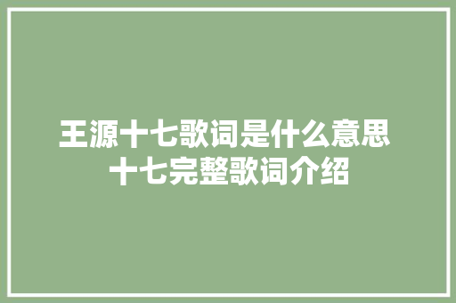 王源十七歌词是什么意思 十七完整歌词介绍