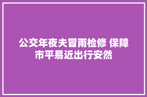 公交年夜夫冒雨检修 保障市平易近出行安然