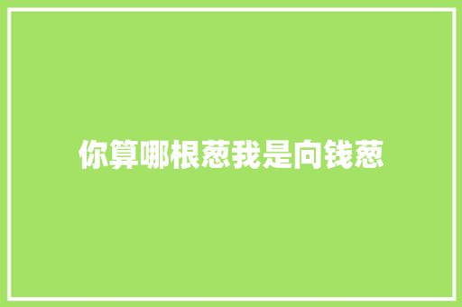 你算哪根葱我是向钱葱