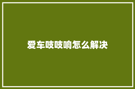 爱车吱吱响怎么解决