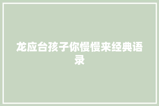 龙应台孩子你慢慢来经典语录