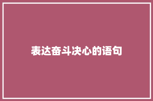 表达奋斗决心的语句