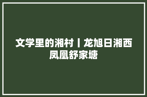 文学里的湘村丨龙旭日湘西凤凰舒家塘 汽车知识
