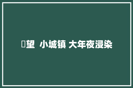 瞭望  小城镇 大年夜浸染