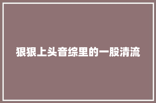 狠狠上头音综里的一股清流