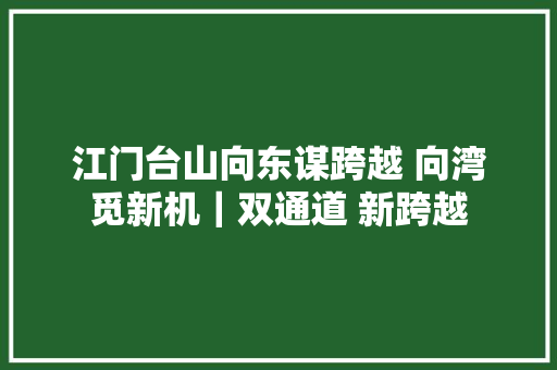 江门台山向东谋跨越 向湾觅新机｜双通道 新跨越