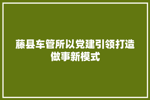 藤县车管所以党建引领打造做事新模式