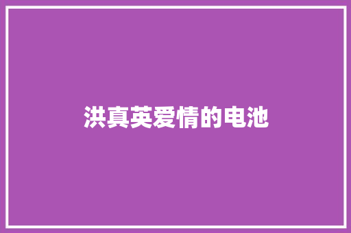 洪真英爱情的电池