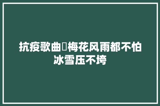 抗疫歌曲⑰梅花风雨都不怕冰雪压不垮