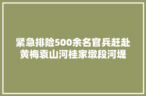 紧急排险500余名官兵赶赴黄梅袁山河桂家墩段河堤
