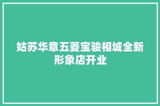 姑苏华意五菱宝骏相城全新形象店开业