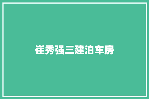 崔秀强三建泊车房