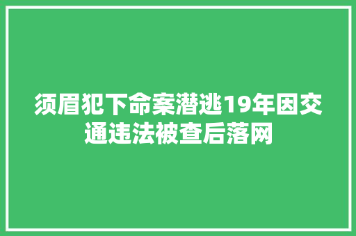 须眉犯下命案潜逃19年因交通违法被查后落网