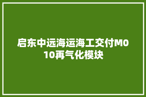 启东中远海运海工交付M010再气化模块