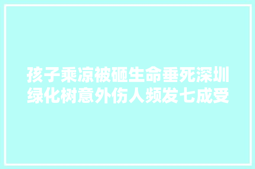孩子乘凉被砸生命垂死深圳绿化树意外伤人频发七成受访者担忧