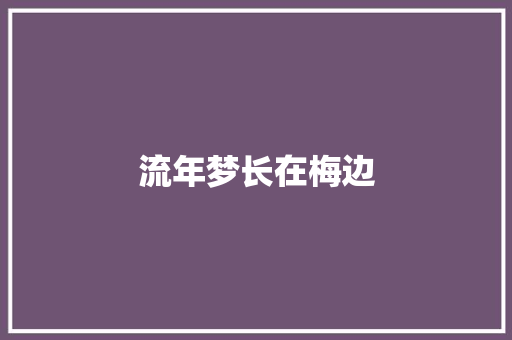 流年梦长在梅边