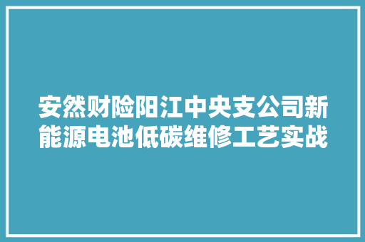 安然财险阳江中央支公司新能源电池低碳维修工艺实战培训