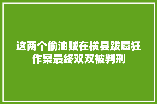这两个偷油贼在横县跋扈狂作案最终双双被判刑