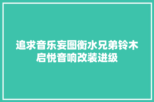 追求音乐妄图衡水兄弟铃木启悦音响改装进级