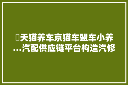 ​天猫养车京猫车盟车小养…汽配供应链平台构造汽修连锁谁能成