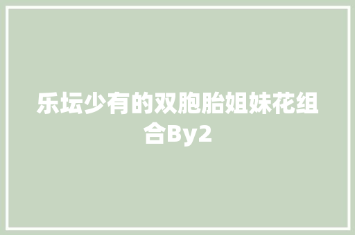 乐坛少有的双胞胎姐妹花组合By2