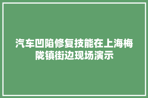 汽车凹陷修复技能在上海梅陇镇街边现场演示