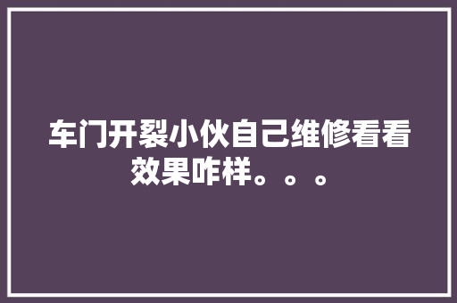 车门开裂小伙自己维修看看效果咋样。。。 汽车知识