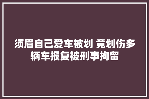 须眉自己爱车被划 竟划伤多辆车报复被刑事拘留