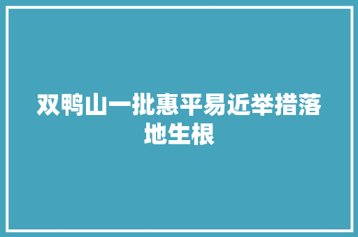 双鸭山一批惠平易近举措落地生根
