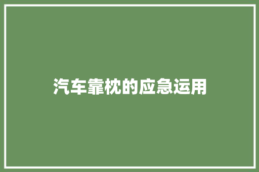 汽车靠枕的应急运用