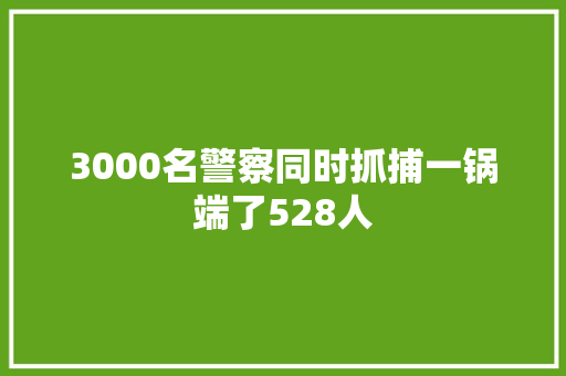 3000名警察同时抓捕一锅端了528人