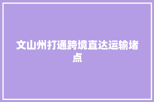 文山州打通跨境直达运输堵点