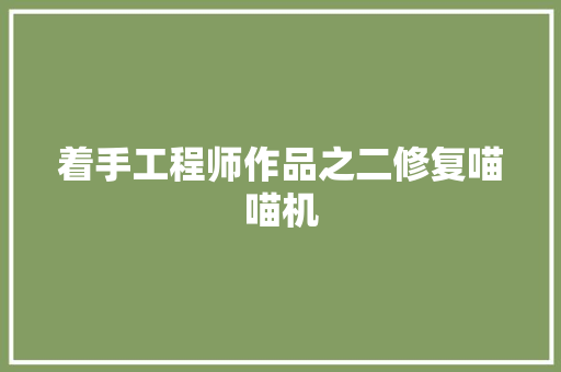 着手工程师作品之二修复喵喵机