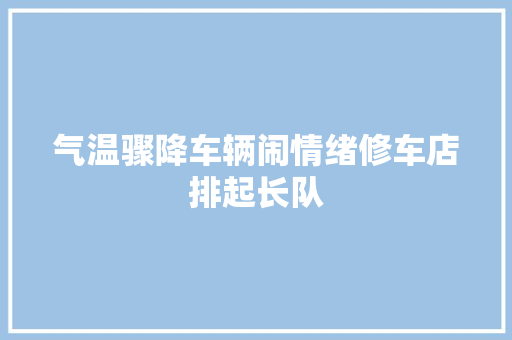 气温骤降车辆闹情绪修车店排起长队